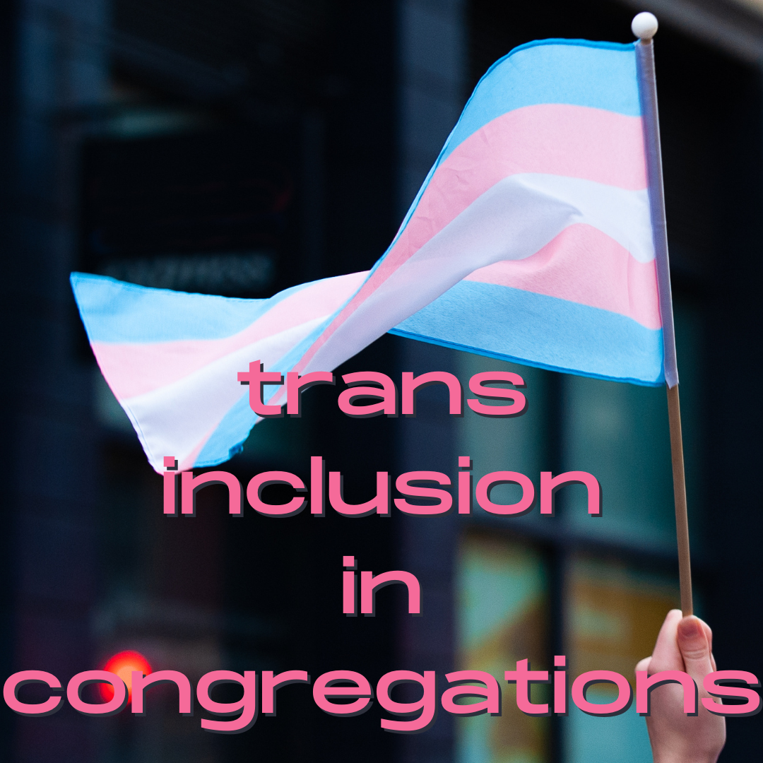 Trans Inclusion in Congregations Workshop (Thursdays, 9-21 to 10-26, 6-7:30 PM)