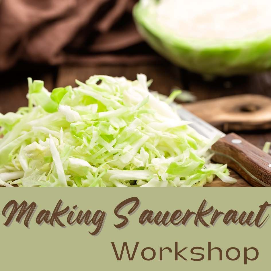 Making Sauerkraut Workshop 4.21.24