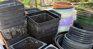 Bring Your Used Plastic Plant Pots, 6/16